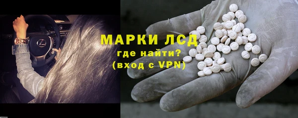 гидра Липки
