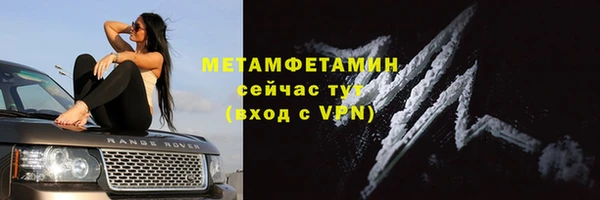 гидра Липки